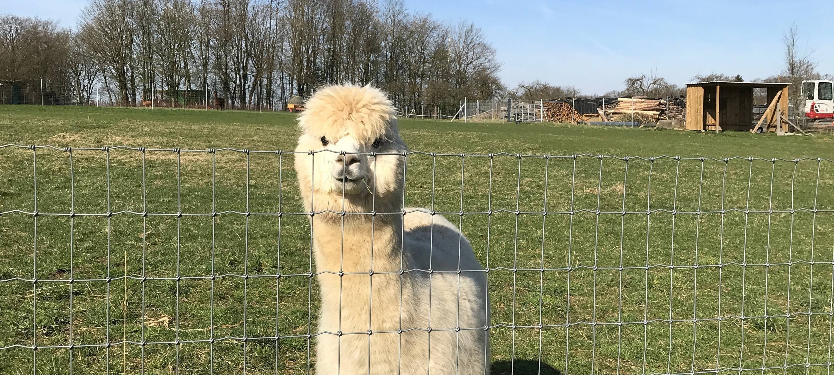 Eiershagen: Unser Osterdorf im Bergischen