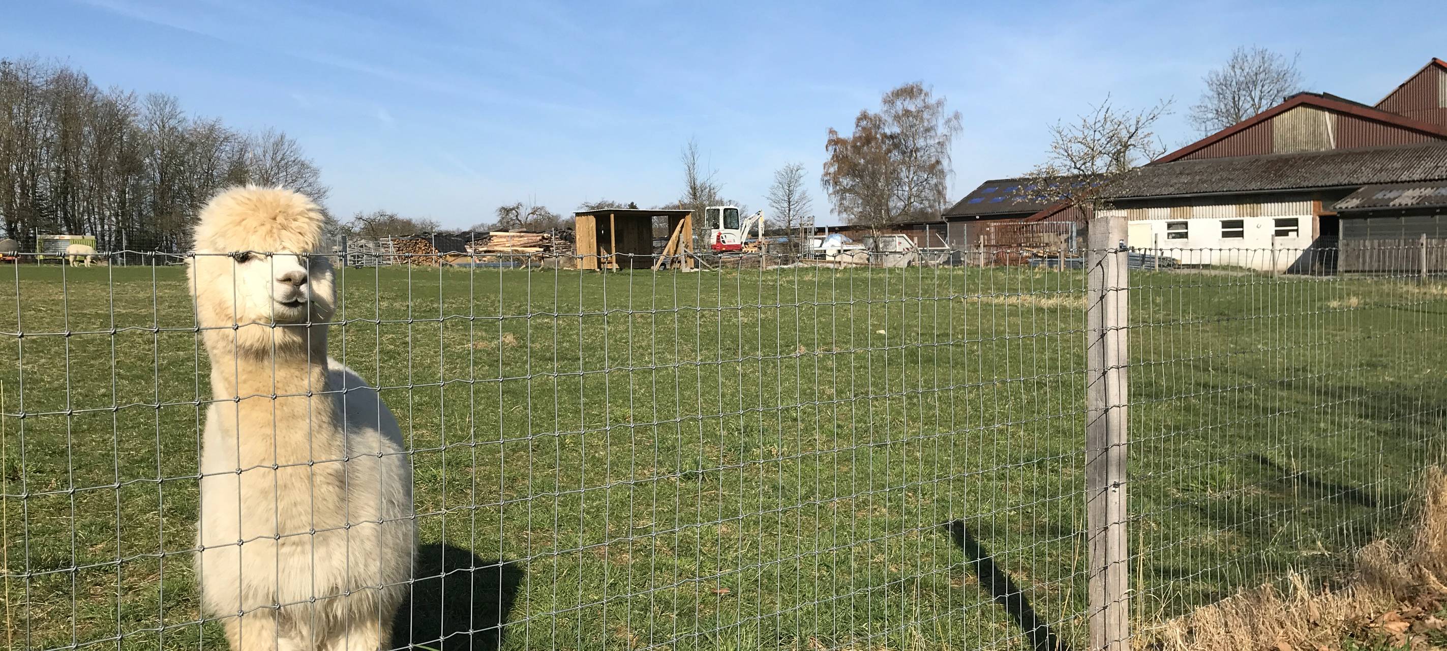 Eiershagen: Unser Osterdorf im Bergischen