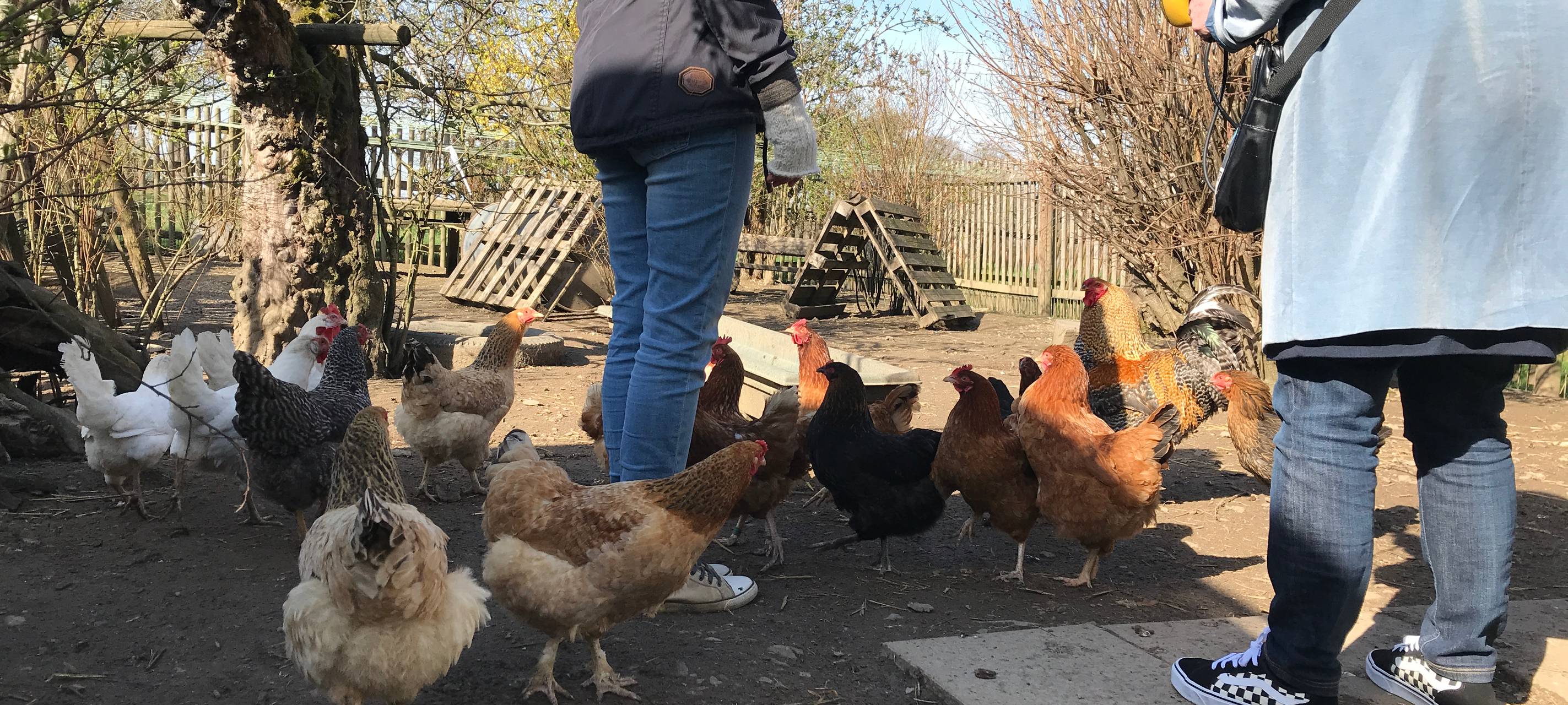 Eiershagen: Unser Osterdorf im Bergischen