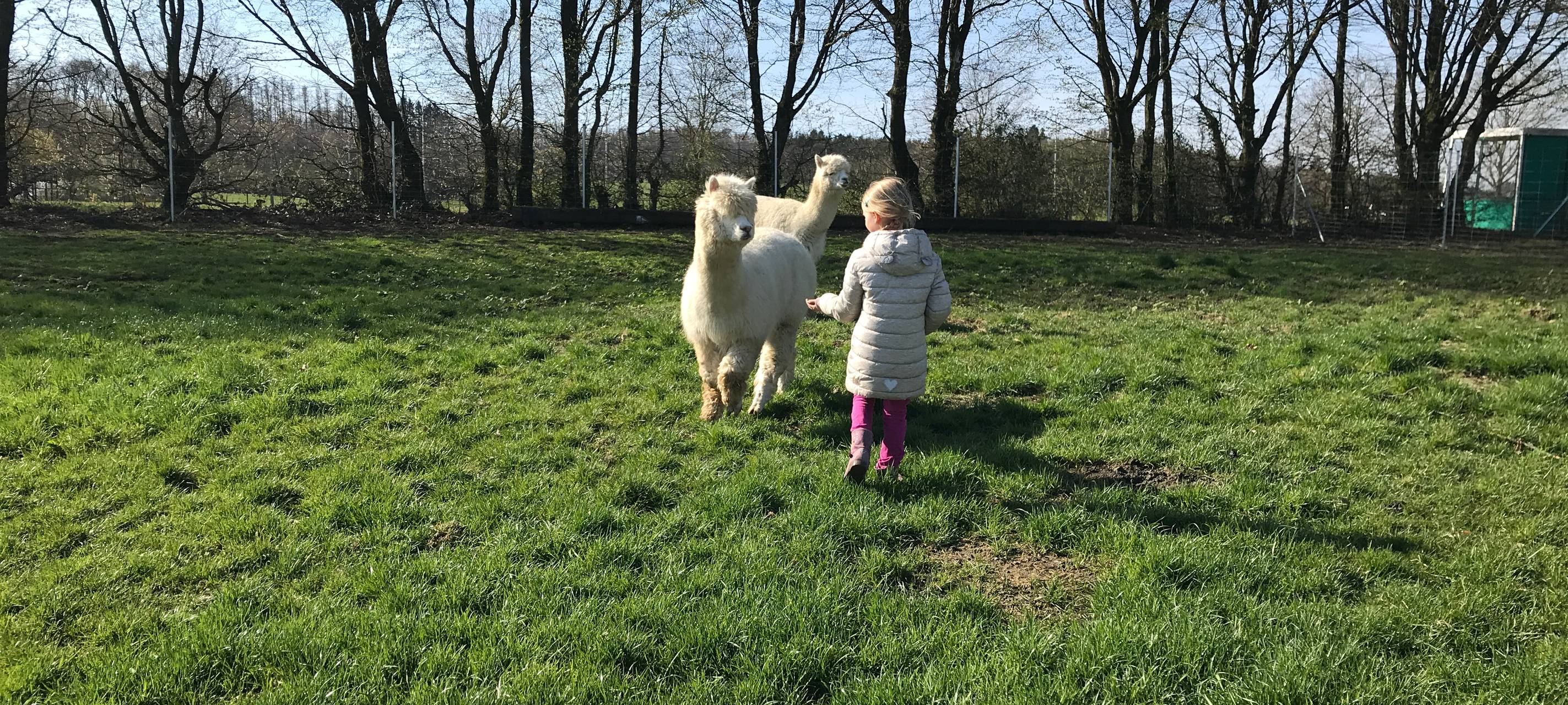 Eiershagen: Unser Osterdorf im Bergischen