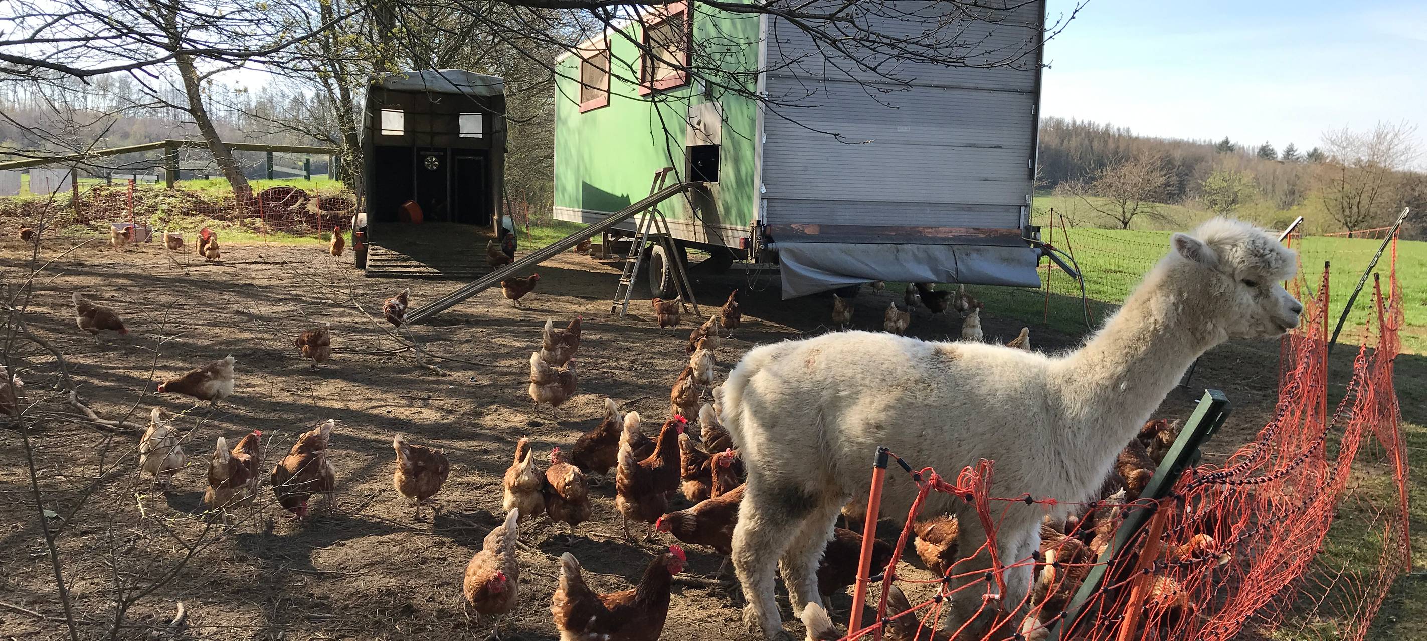 Eiershagen: Unser Osterdorf im Bergischen