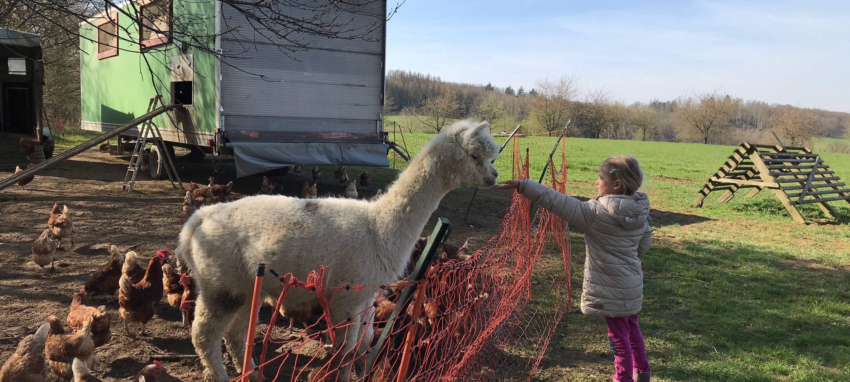Eiershagen: Unser Osterdorf im Bergischen