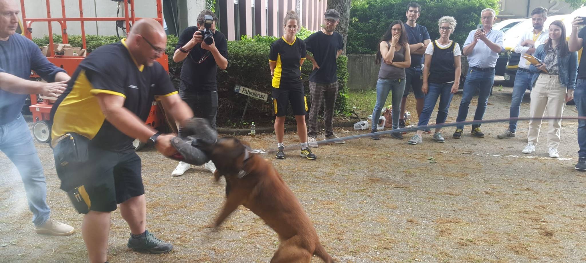 Hundetraining für Postboten