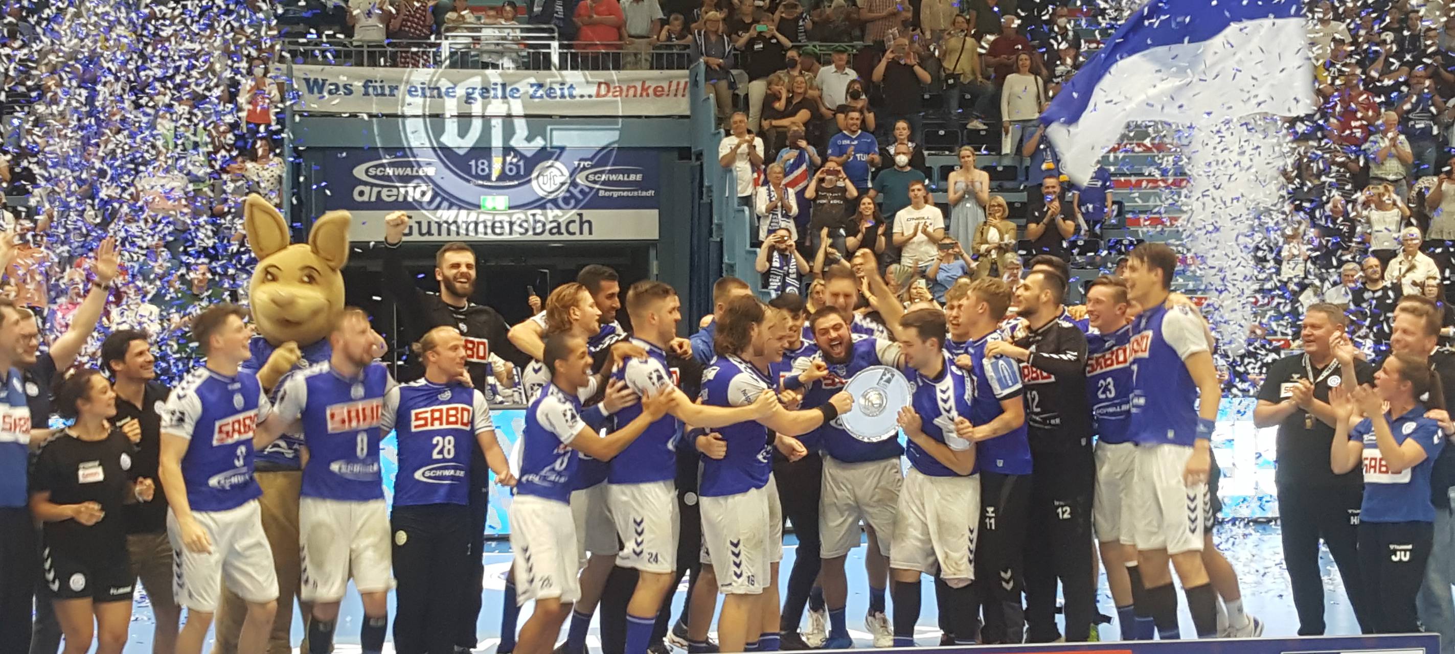 Handball: VfL ungeschlagen Meister