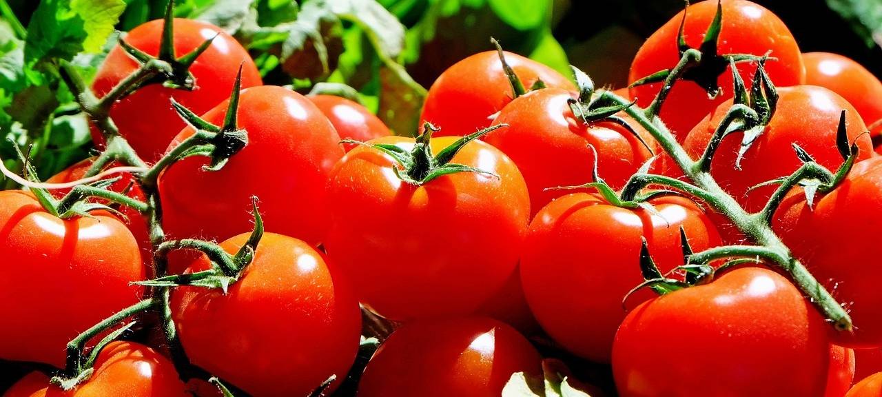 Reichshof: Mann ruft wegen Tomaten bei der Polizei an