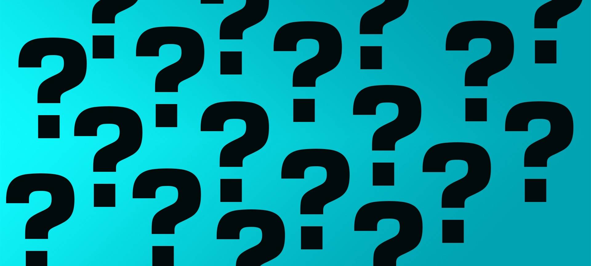 Habt ihr Lust zu quizzen?