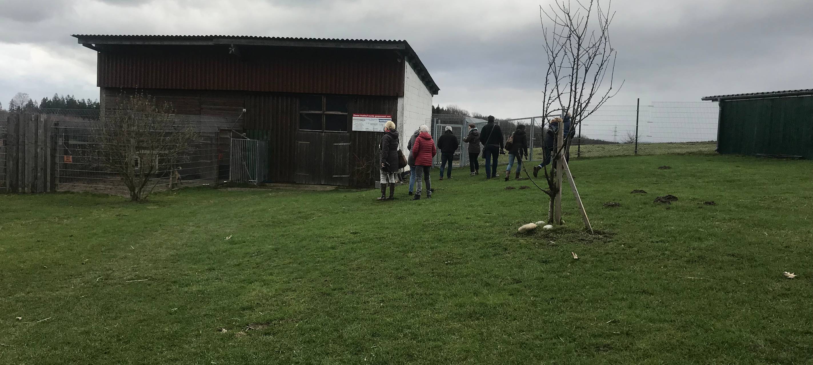 Kinder helfen Tieren