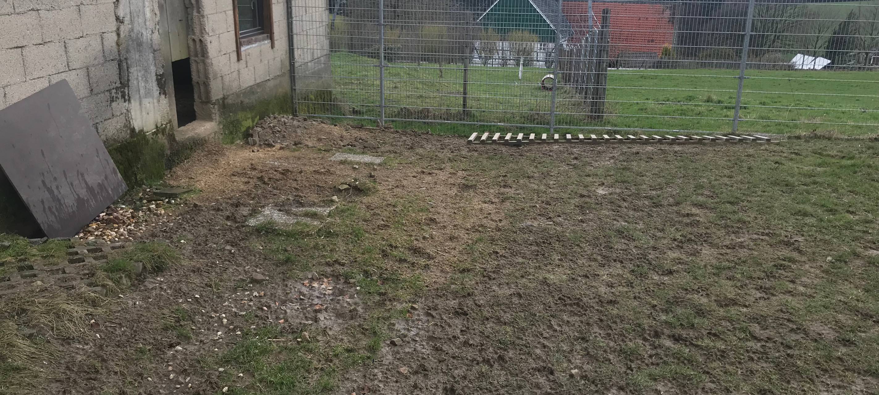 Kinder helfen Tieren