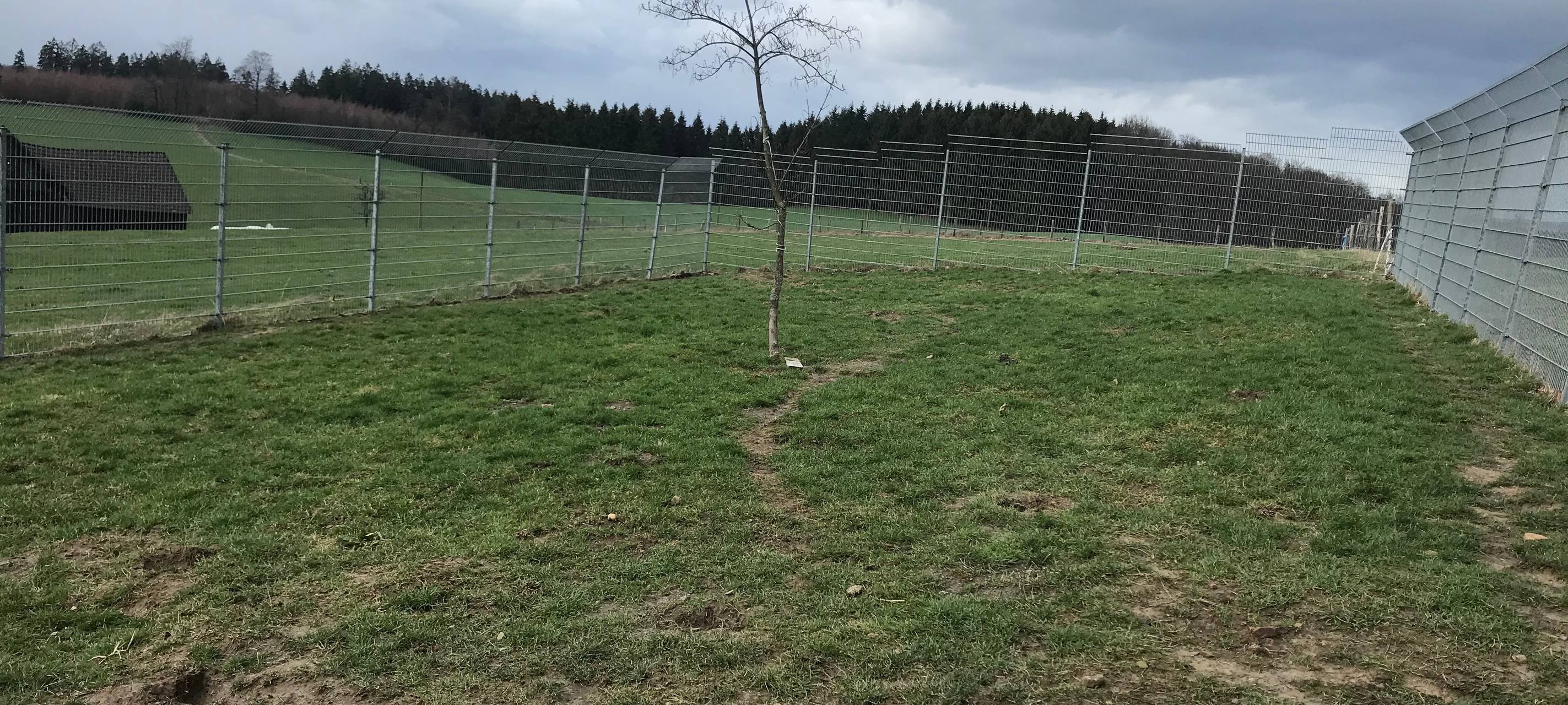Kinder helfen Tieren