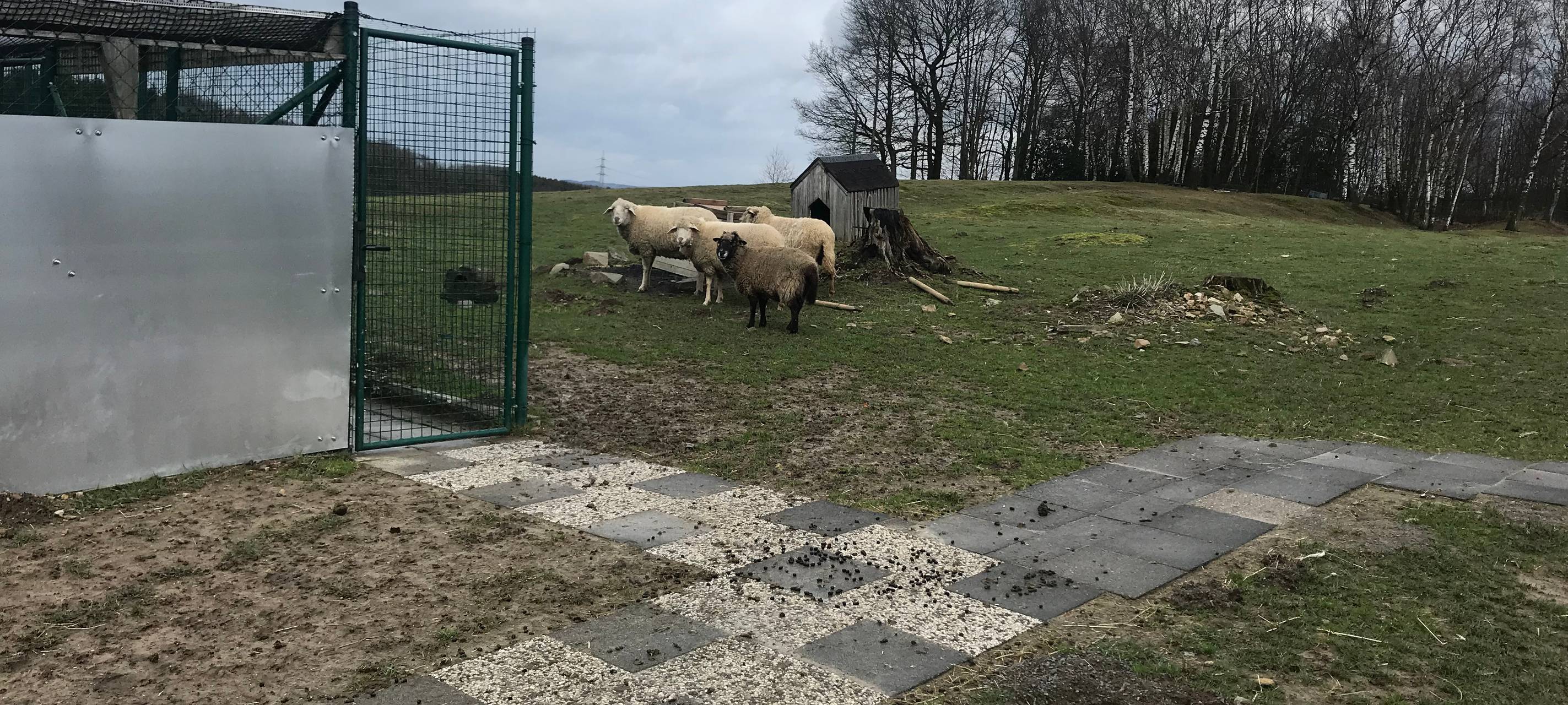 Kinder helfen Tieren