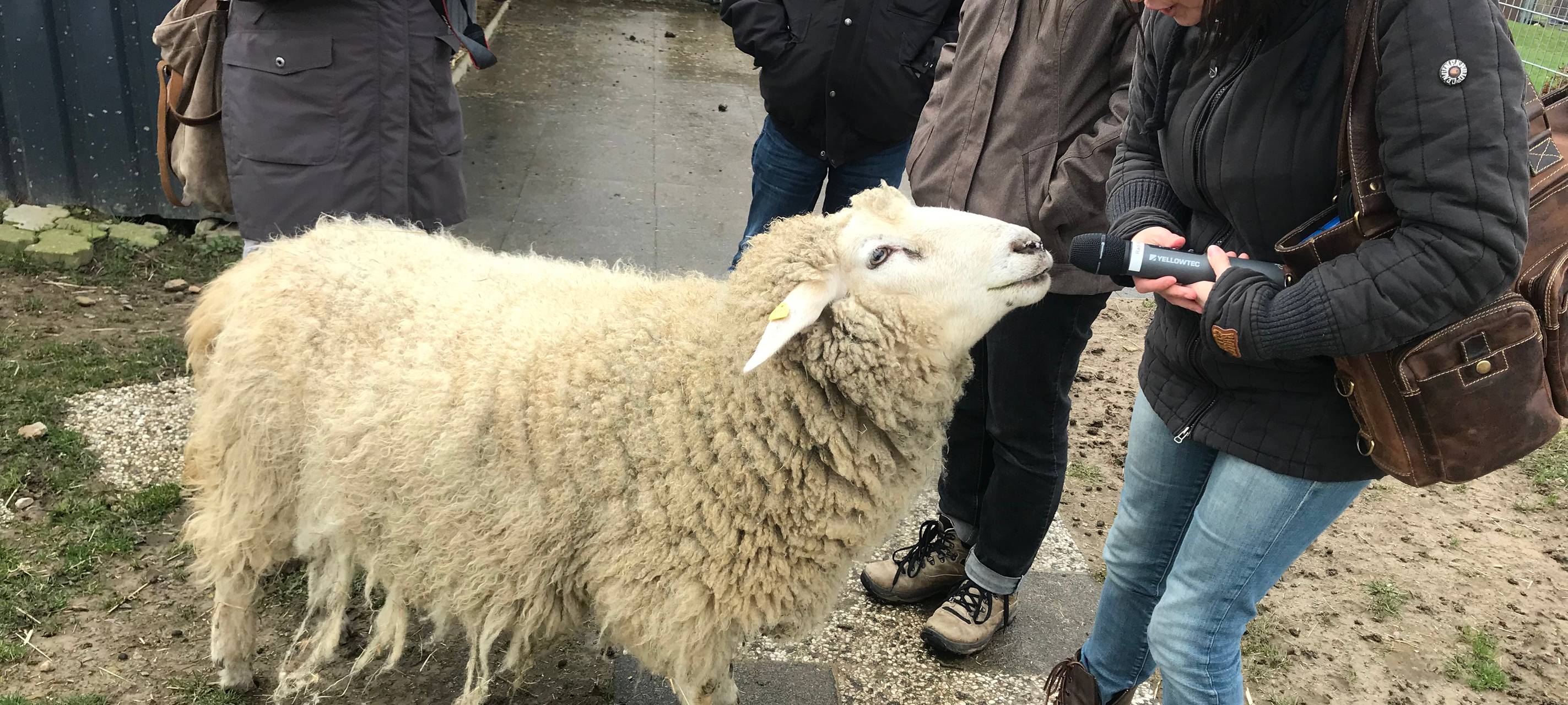 Kinder helfen Tieren