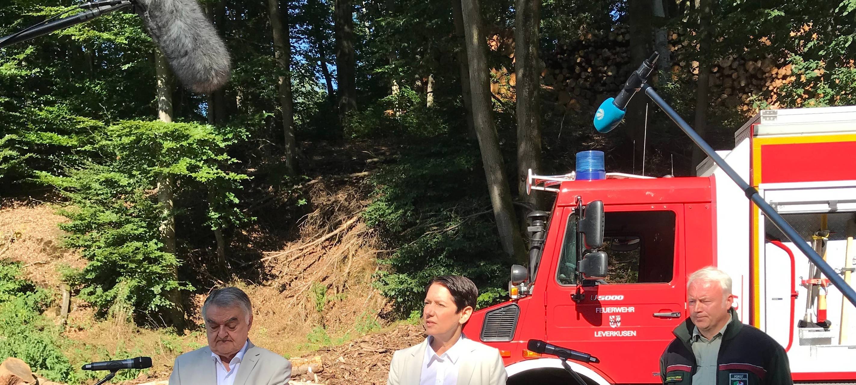 Waldbrandprävention in Nordrhein-Westfalen: Das plant Innenminister Reul