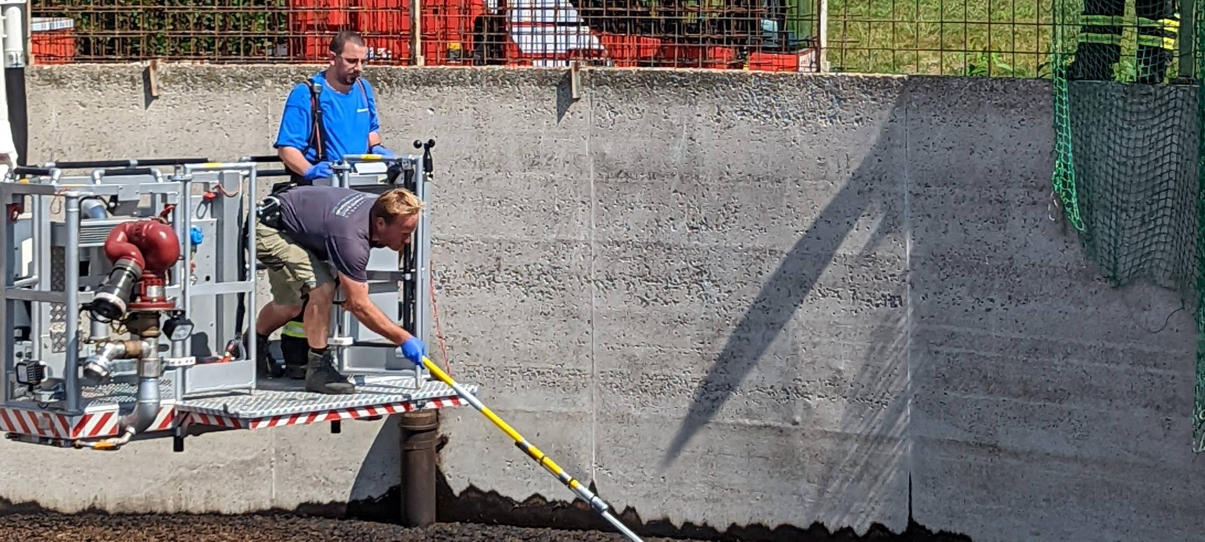 Greifvogel aus Güllebecken gerettet
