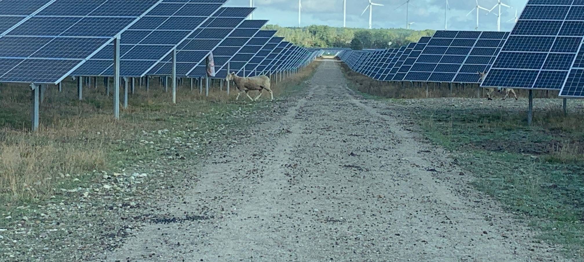 Ansturm auf Bergische Bürger-Energie-Genossenschaften