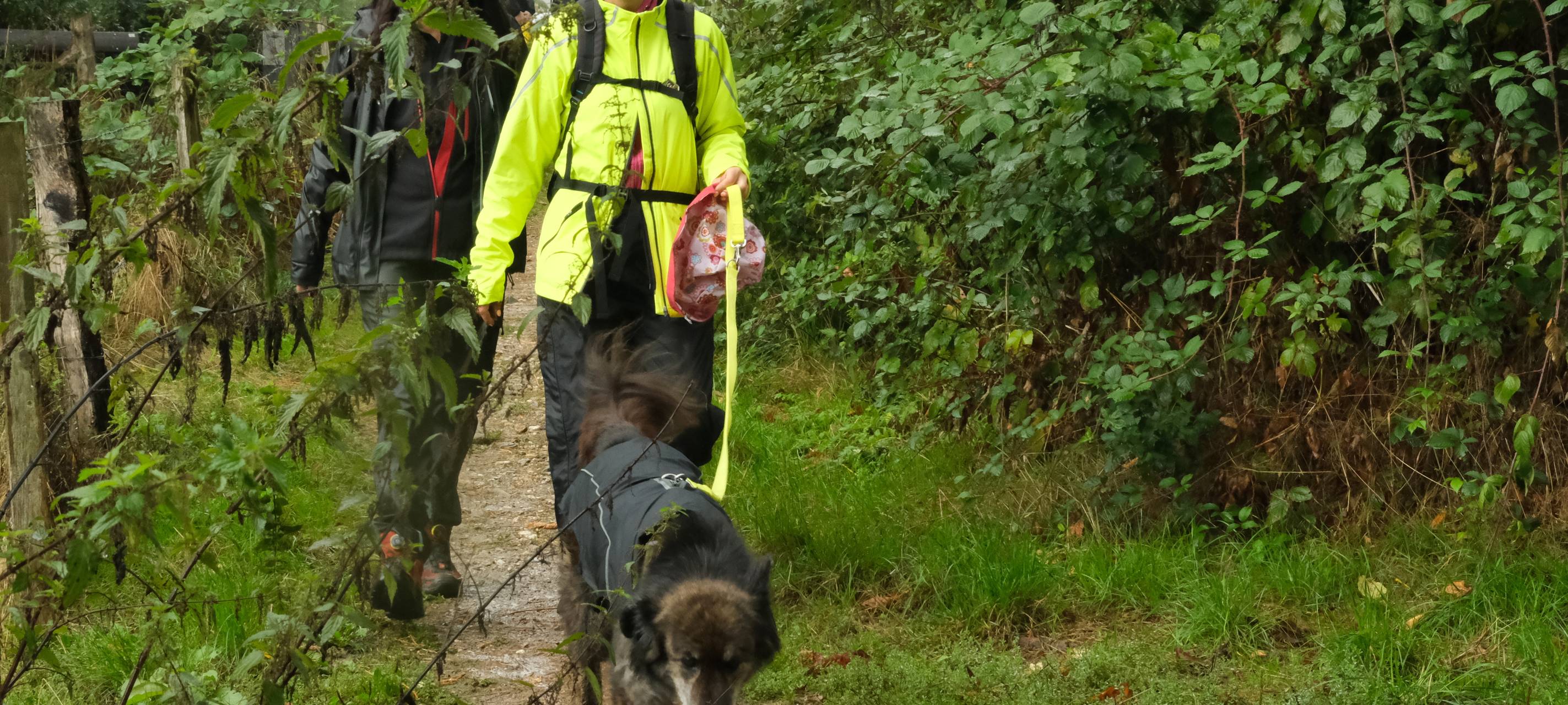 So war der Radio Berg Wandertag 2022