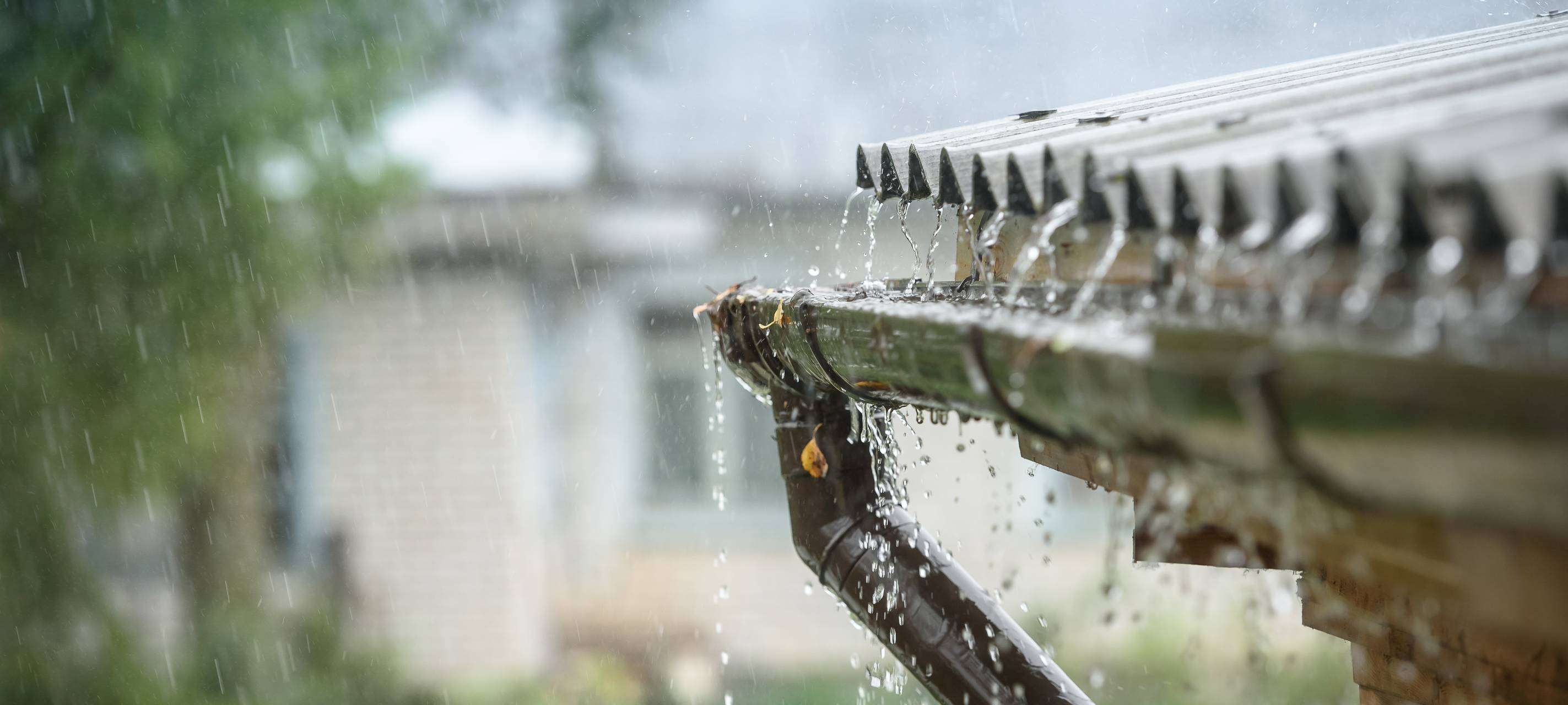Wupperverband: Januar im Bergischen war besonders nass
