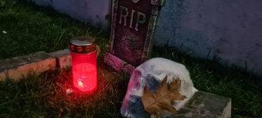 Halloween-Horrorhaus in Gummersbach-Elbach