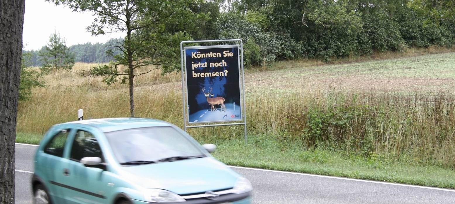Zeitumstellung - Gefahr vor Wildunfällen steigt