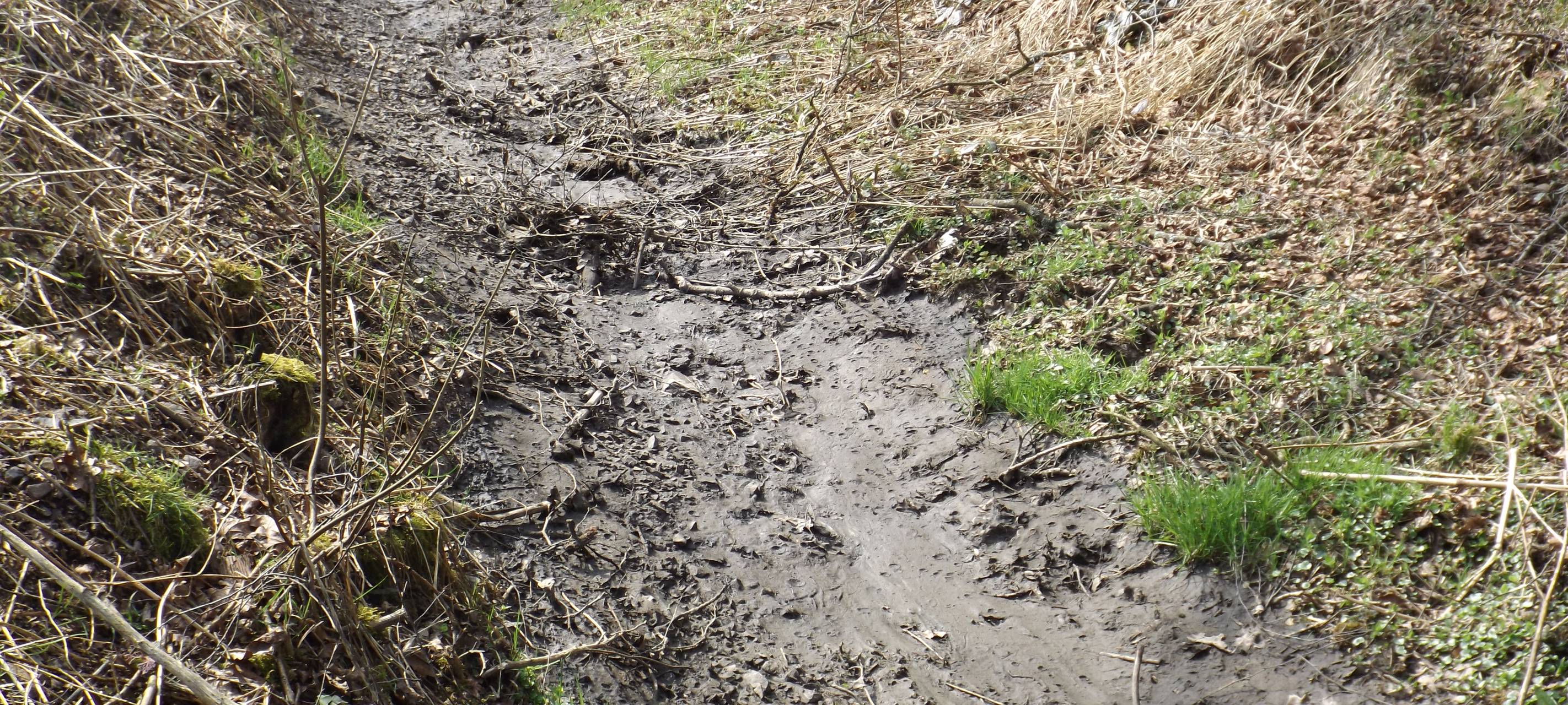 Oberberg: Kritik nach erneutem Gülleunfall