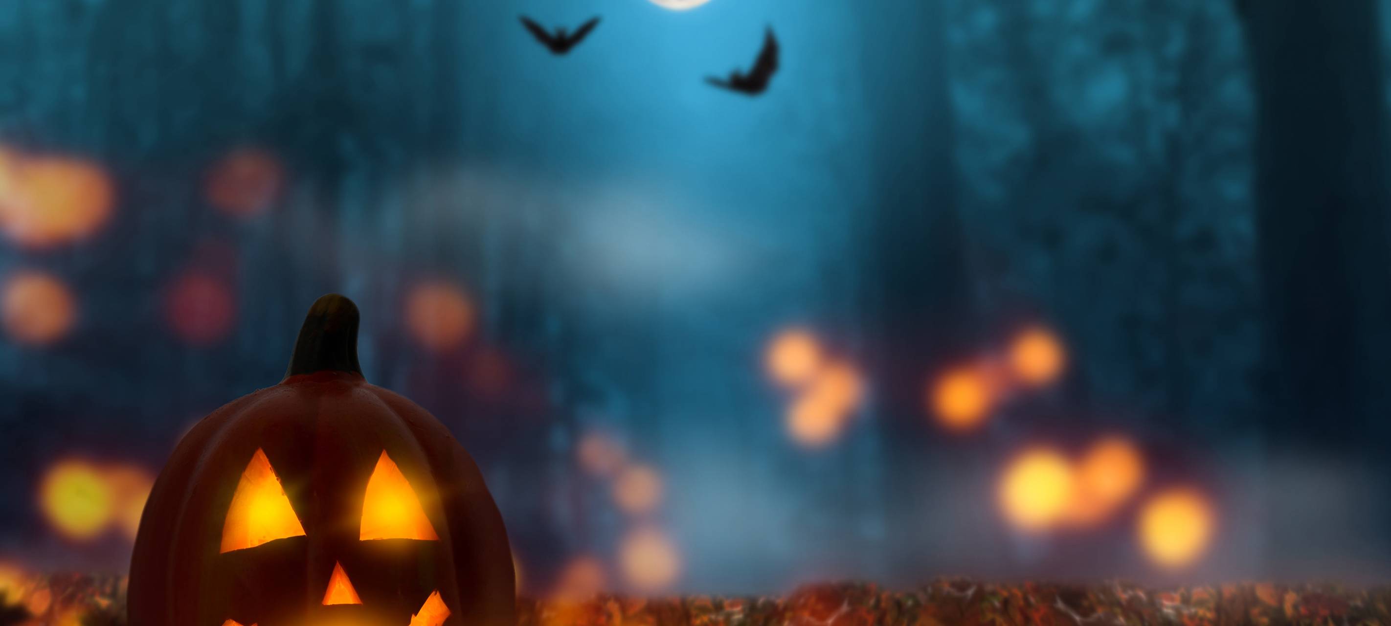 Eine ruhige Halloween Nacht im Bergischen