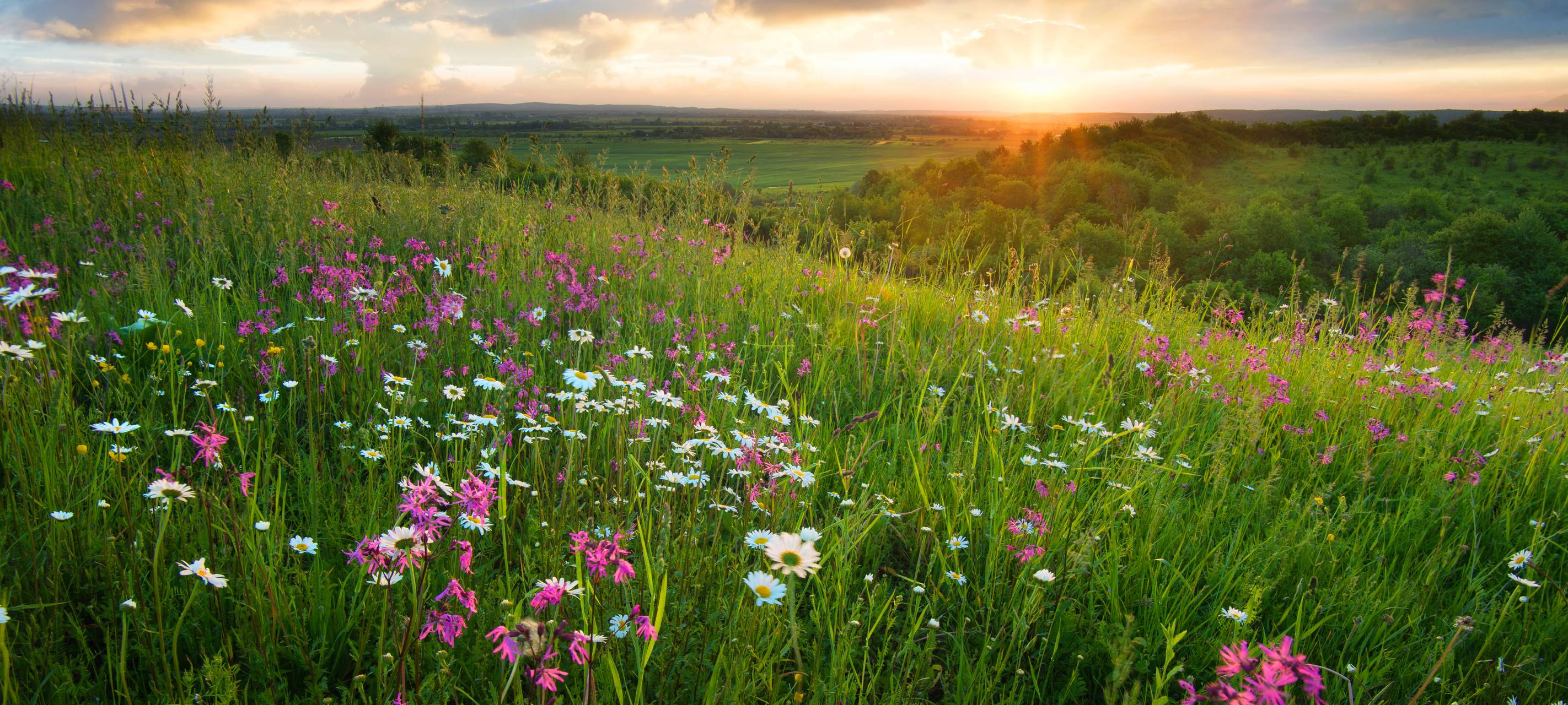 Tourismus: Zahlen steigen weiter