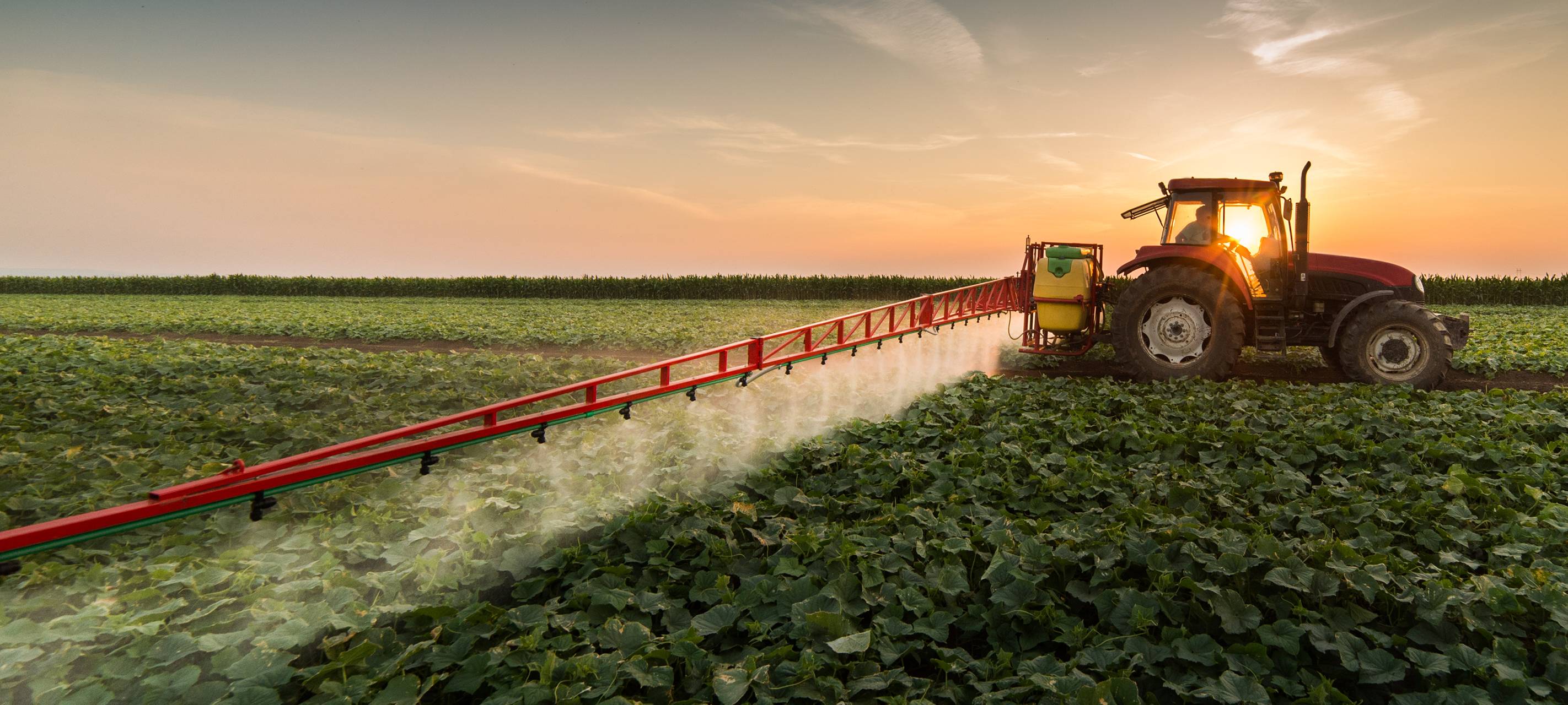 Viele Landwirte warten auf Auszahlung der Dürrehilfe