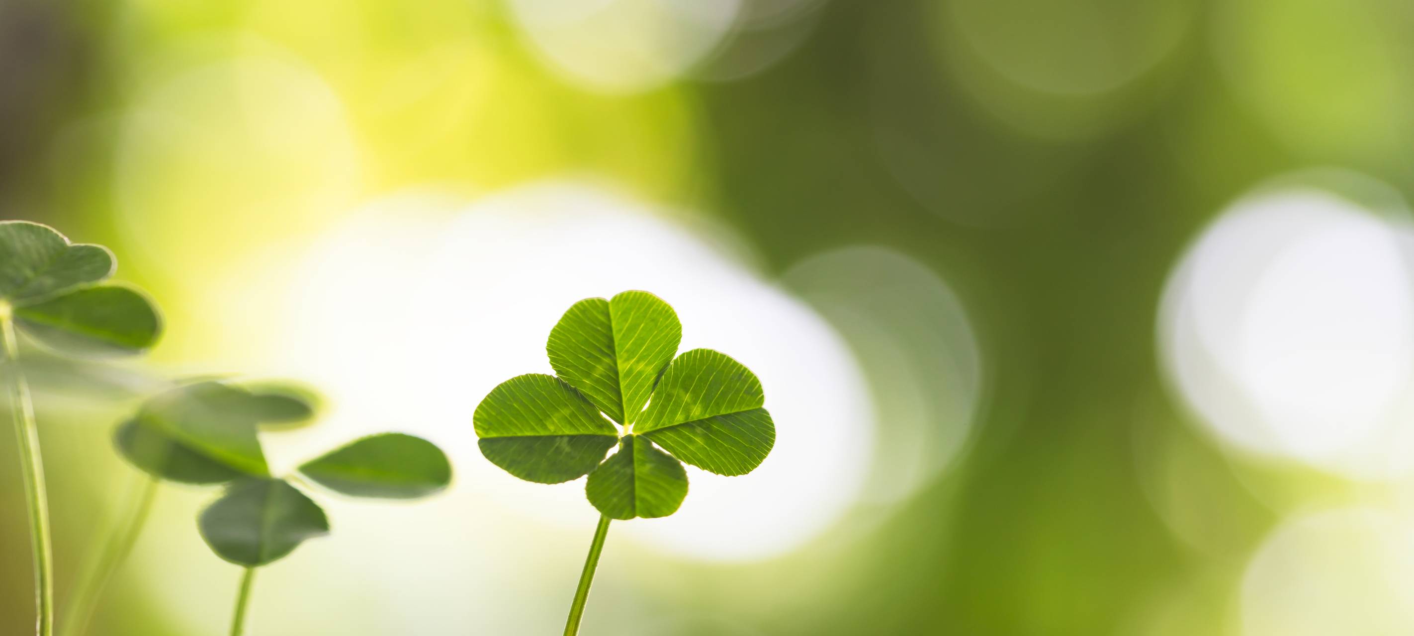 Kinderarzt Dr. Nase, Frau Glücklich, Herr Kölsch & Co...