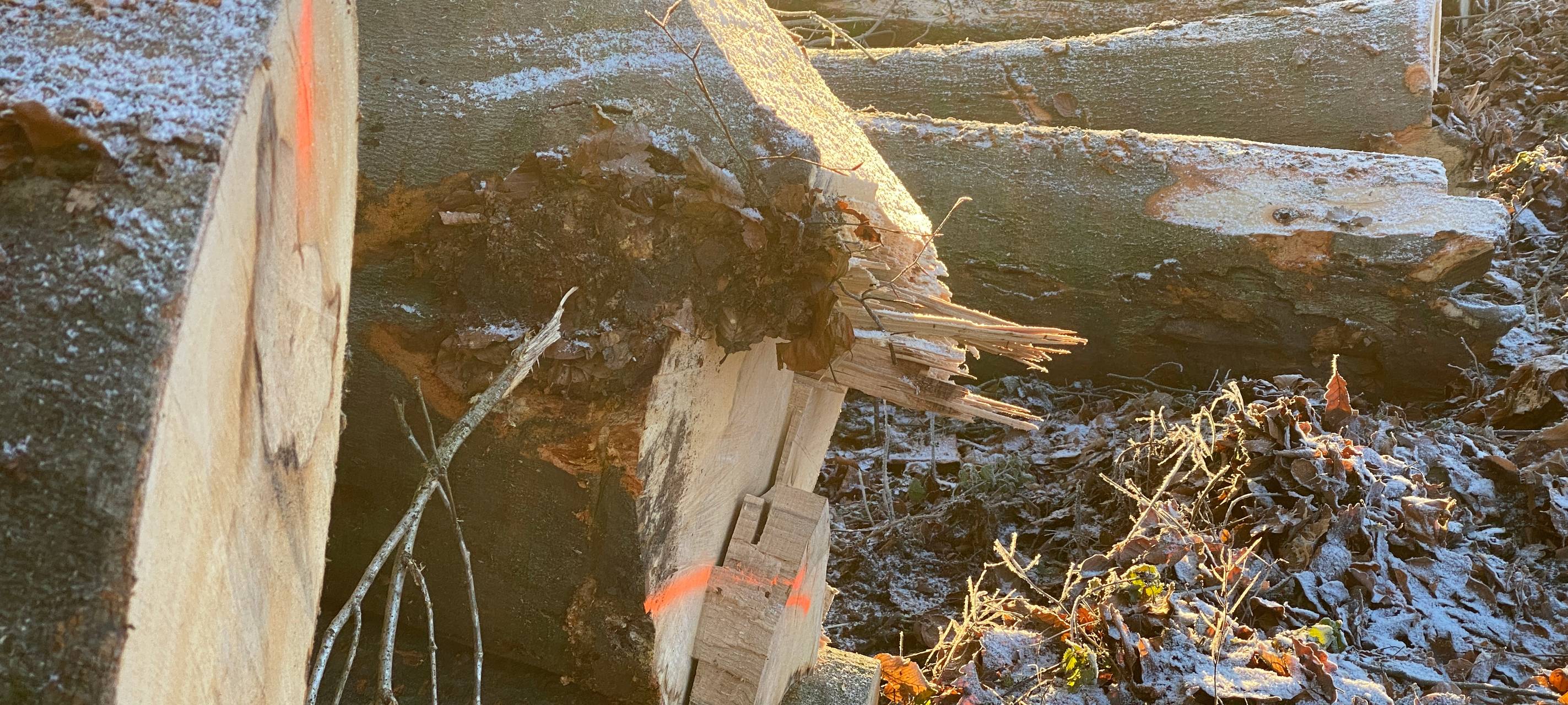 Brennholz-Preise im Bergischen stabil