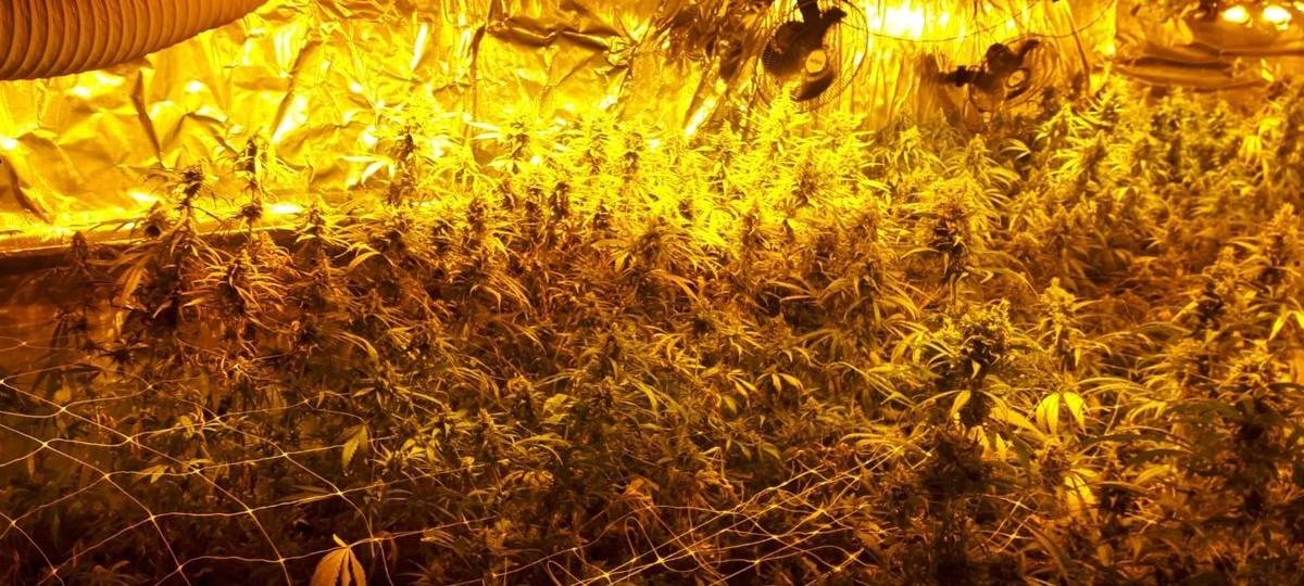 Burscheid: Prozess gegen mutmaßliche Drogenbande startet