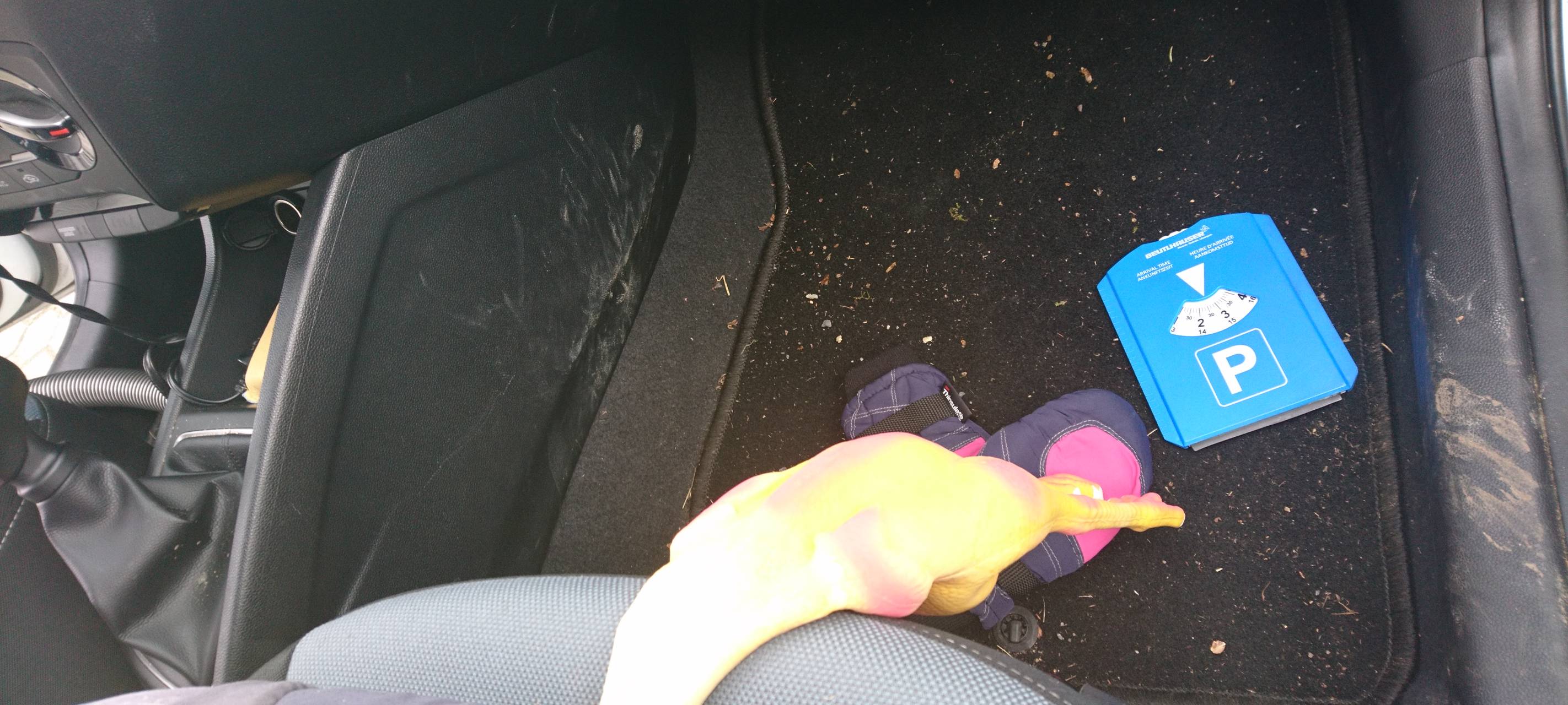 Frühjahrsputz am Auto