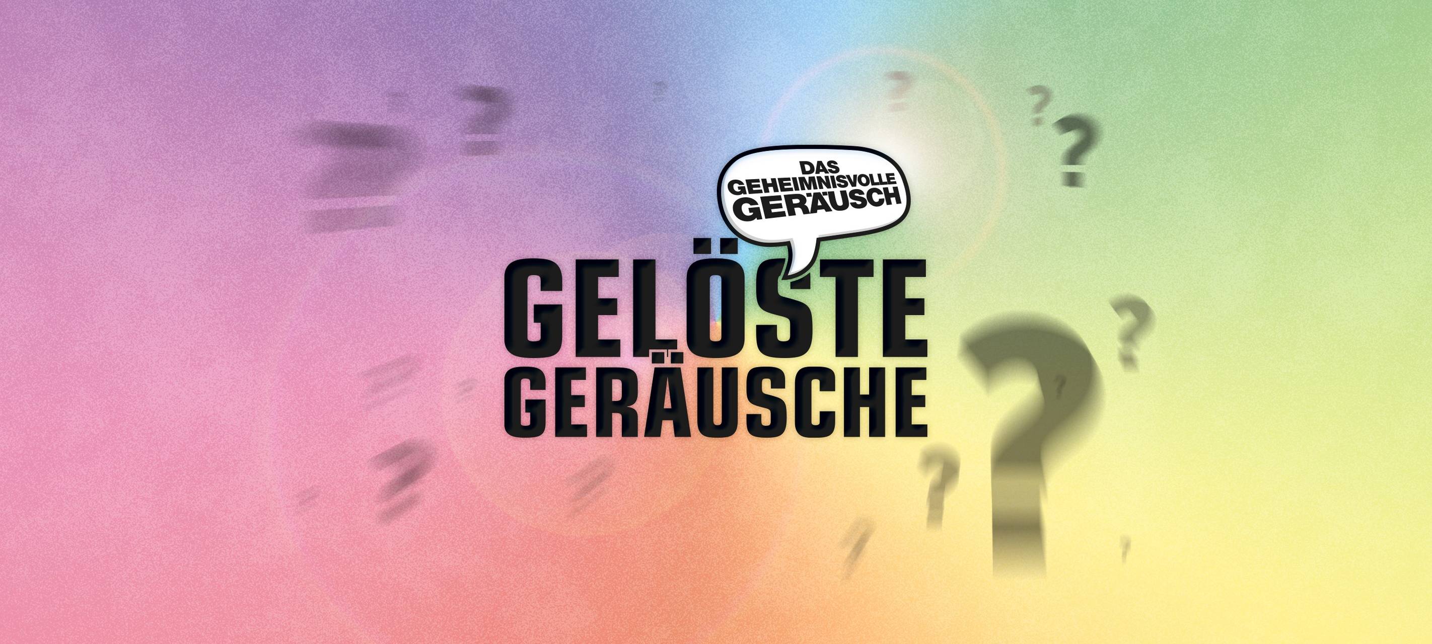 Das geheimnisvolle Geräusch - Das sind die gelösten Geräusche
