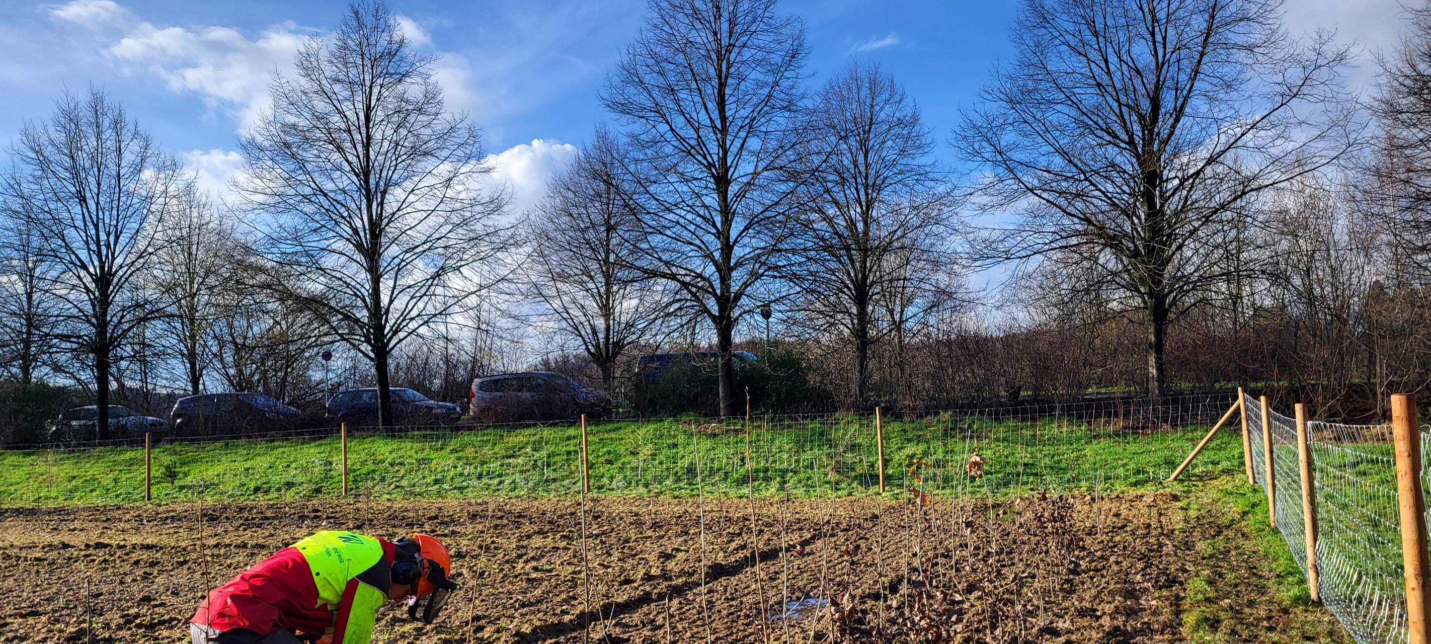 Gummersbach: Tiny Forests für grünere Industriegebiete