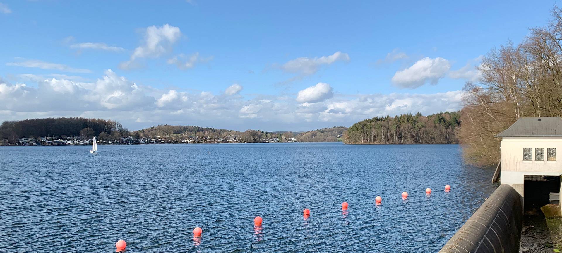 Extremer Blaualgen-Befall: Bade-Verbot an allen Badestellen der Bever