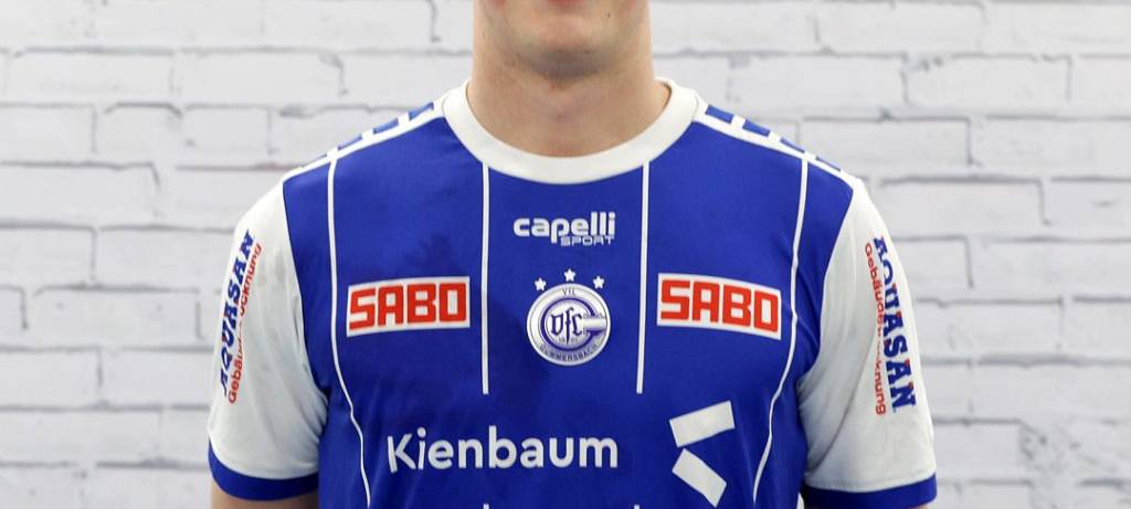 Handball: Panther und VfL II siegen
