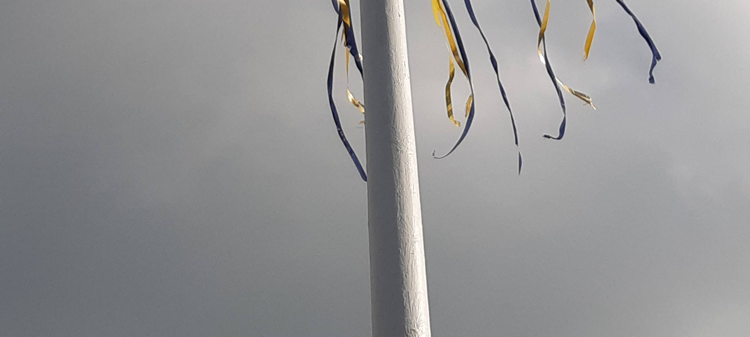 Wo bekomme ich einen Maibaum her?