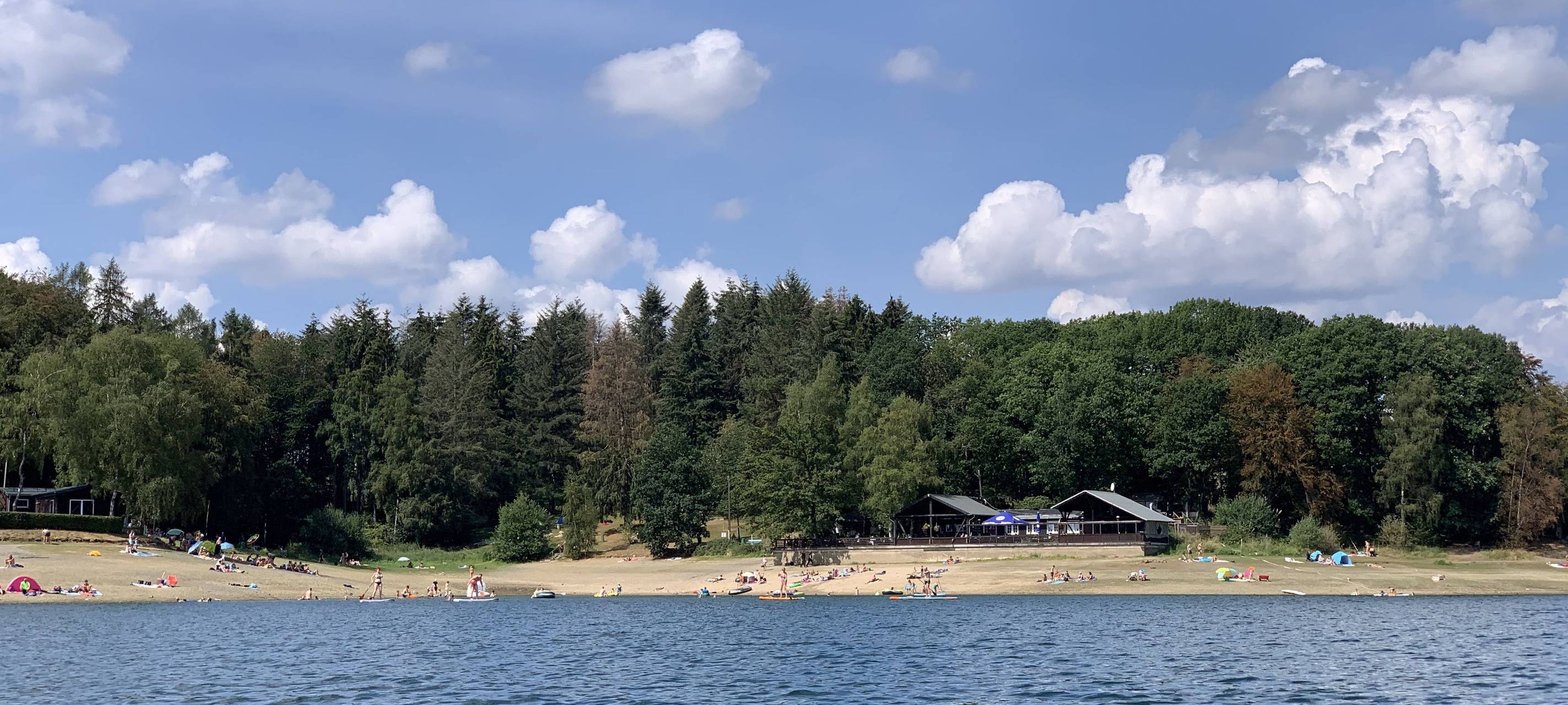 Ermittlungen zur "Zornigen Ameise" eingestellt