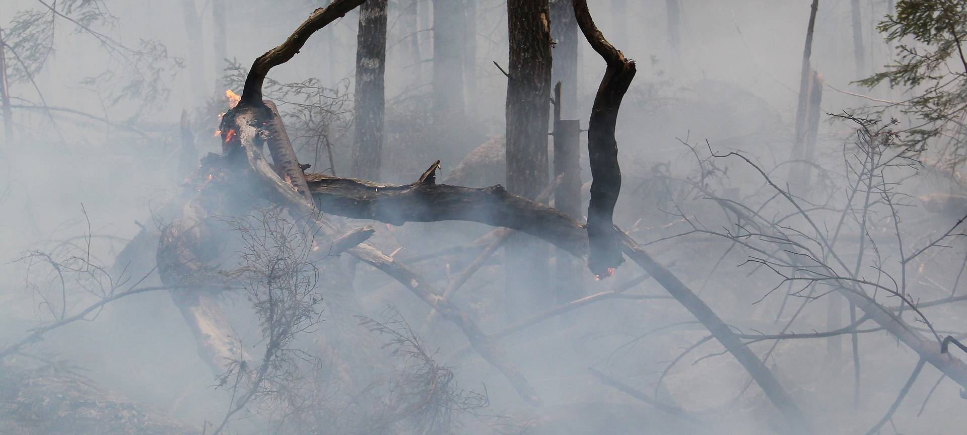 Morsbach: Großeinsatz nach Vegetationsbrand beendet
