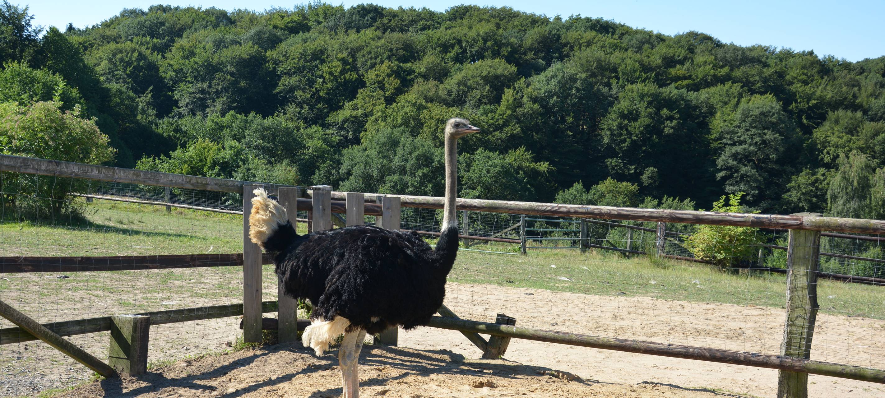 Hofläden und Manufakturen Bergisches Land – Heimat genießen