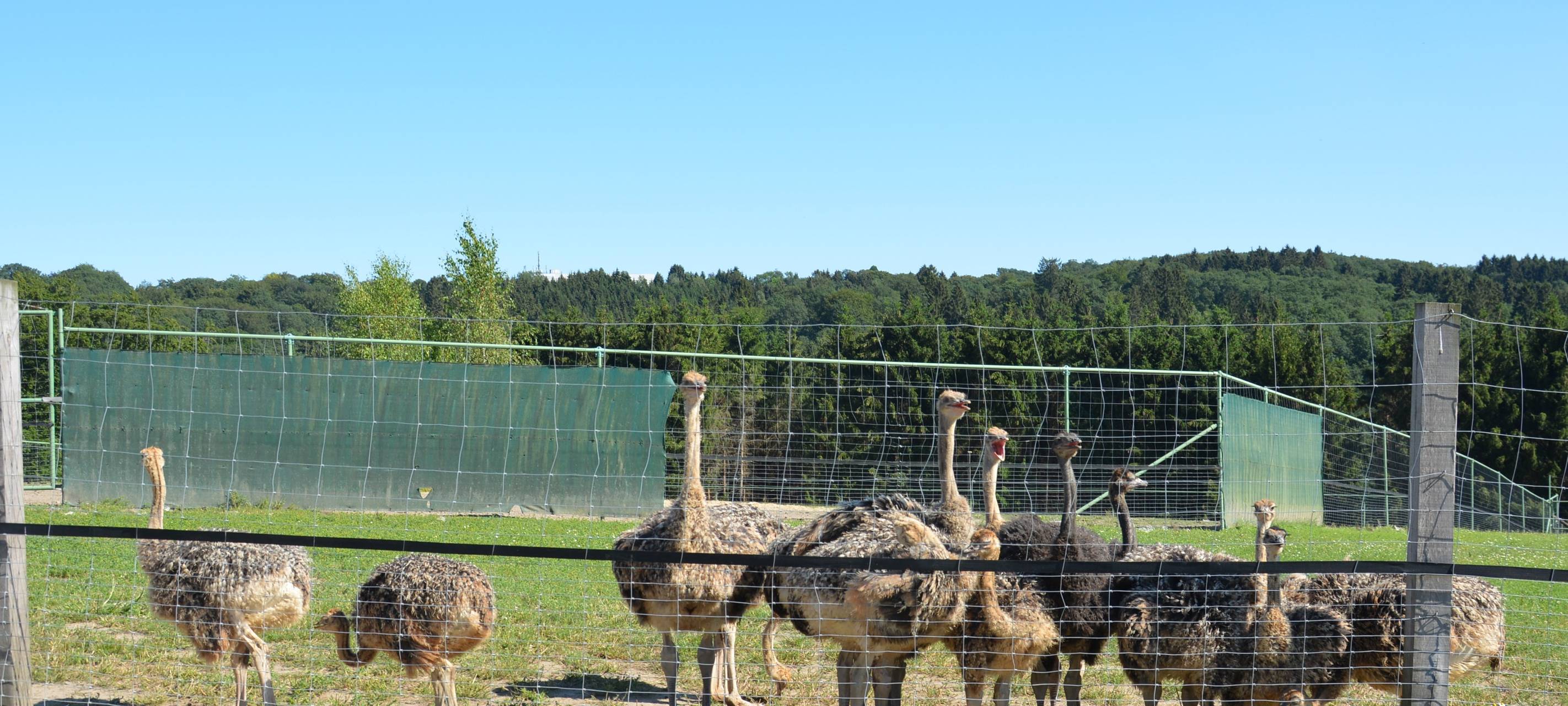 Hofläden und Manufakturen Bergisches Land – Heimat genießen