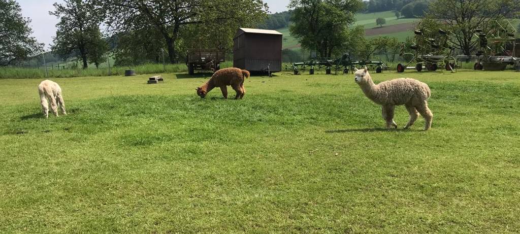 Hofläden und Manufakturen Bergisches Land – Heimat genießen