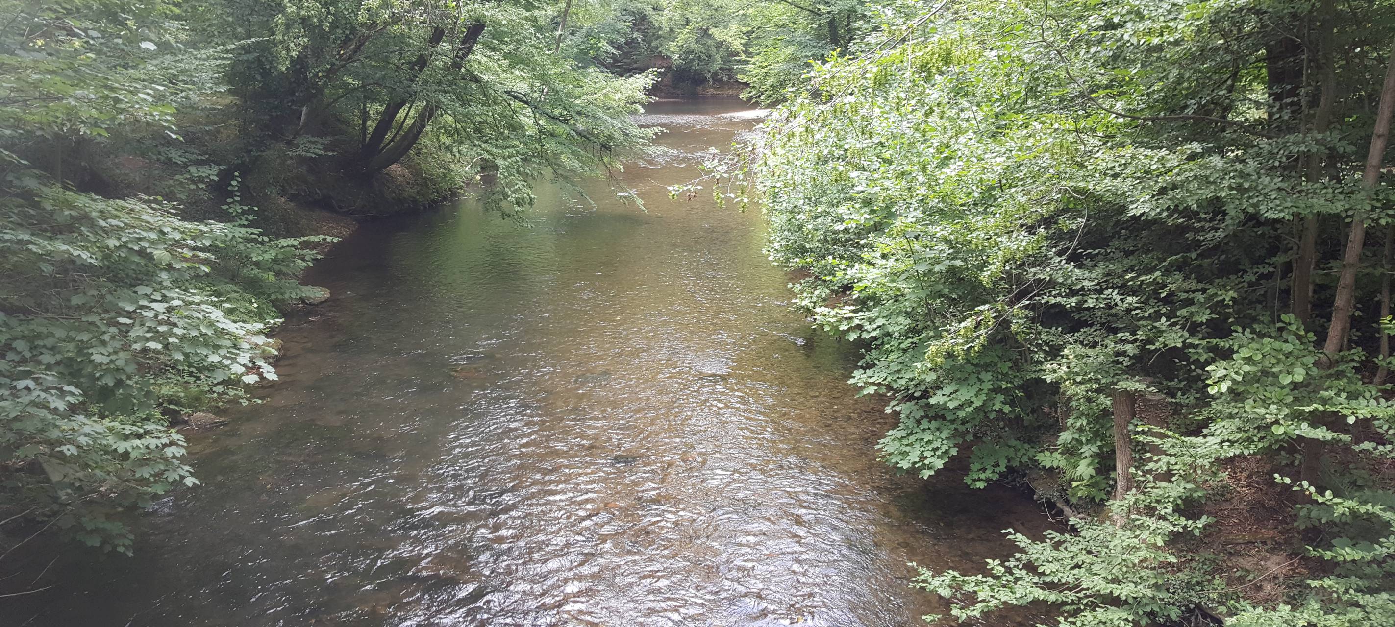 Pegel im Bergischen sinken weiter