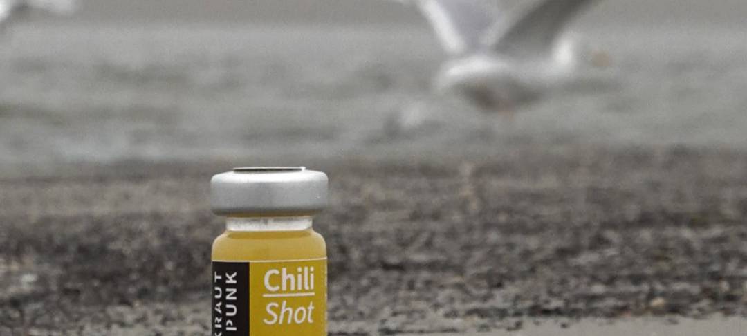 Krautpunk - abgefahrene Gewürze aus Nümbrecht