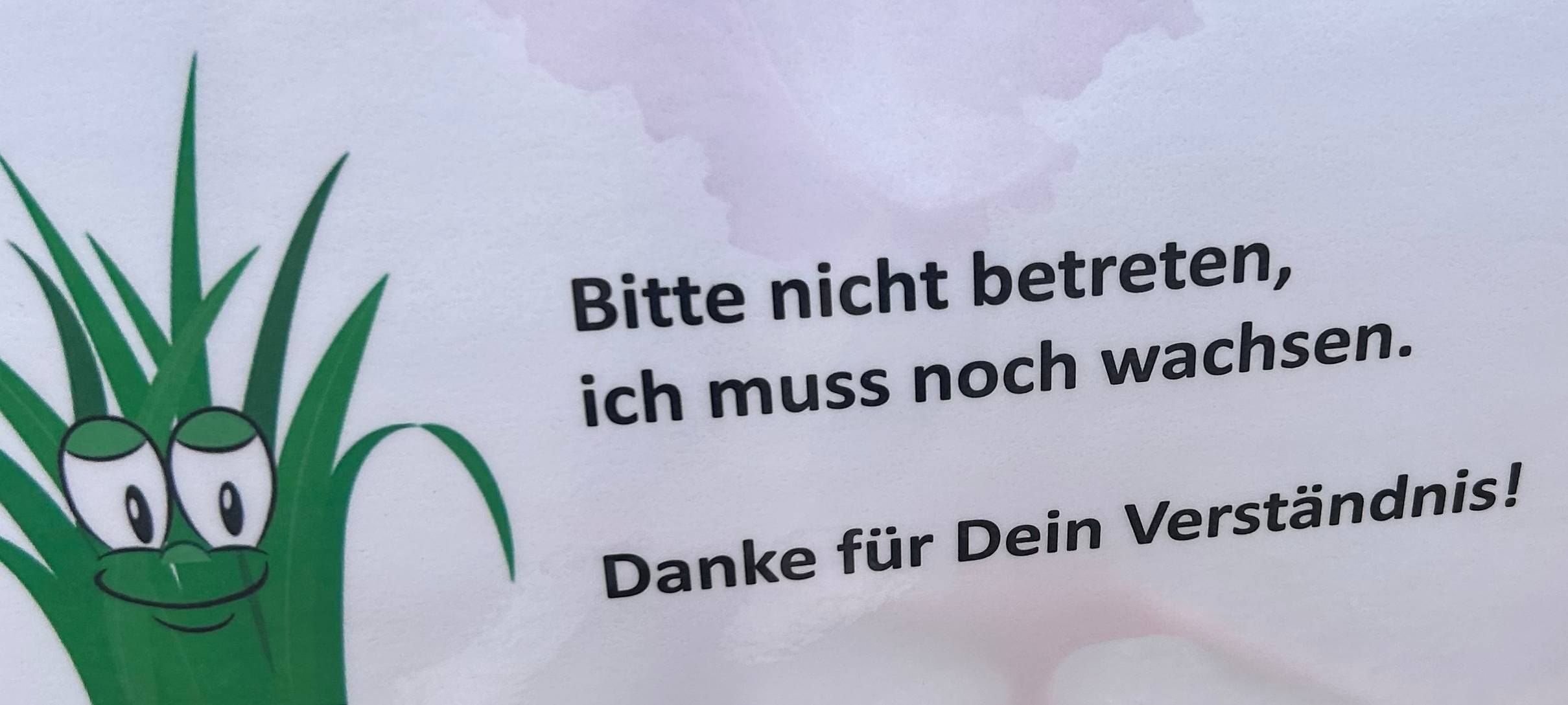 Wiehlpark lebt wieder auf