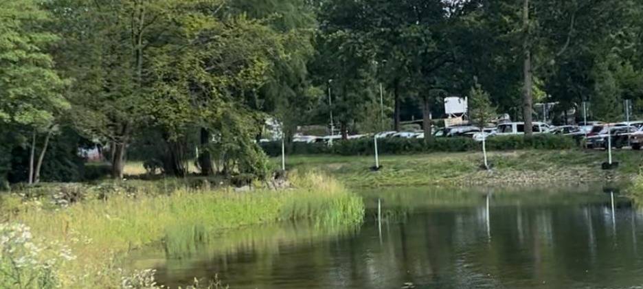 Wiehlpark lebt wieder auf