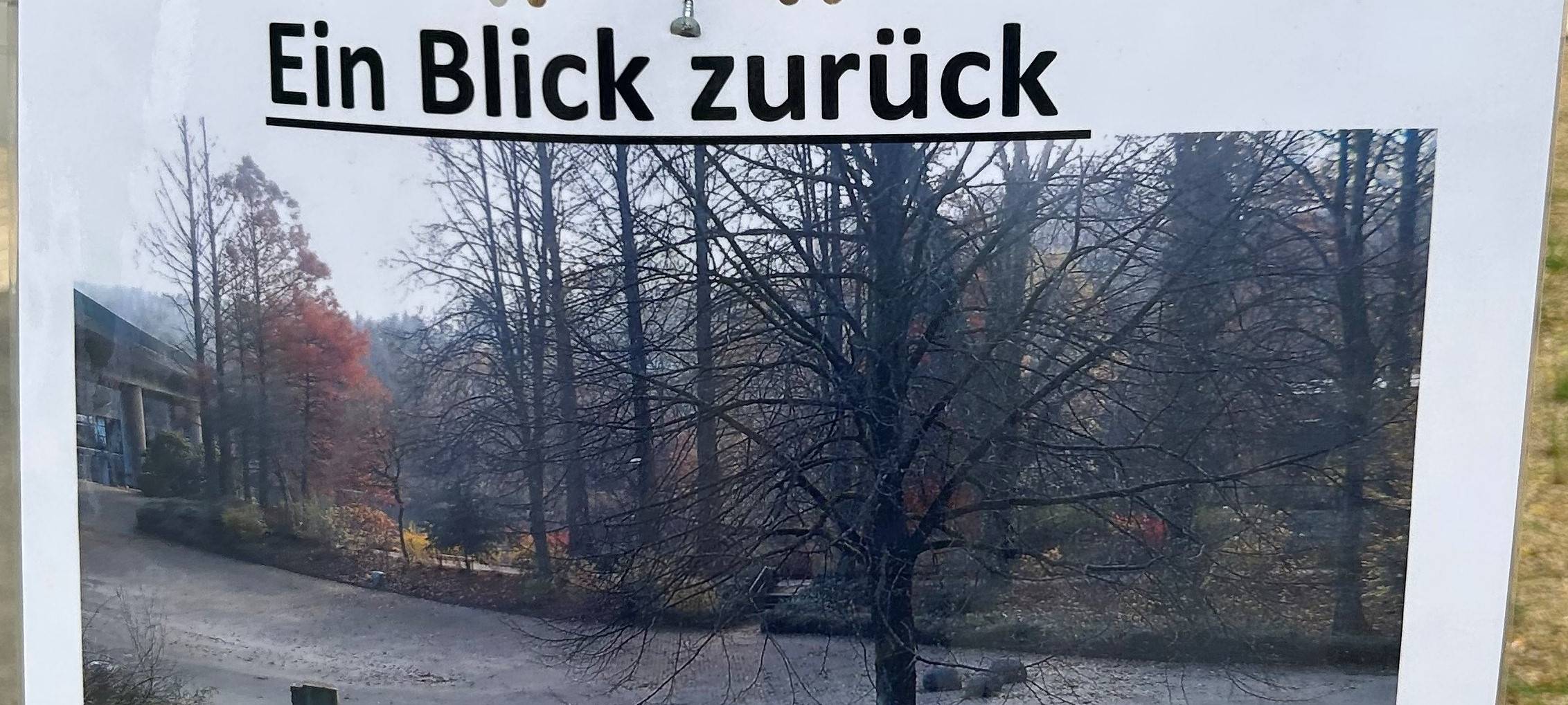Wiehlpark lebt wieder auf