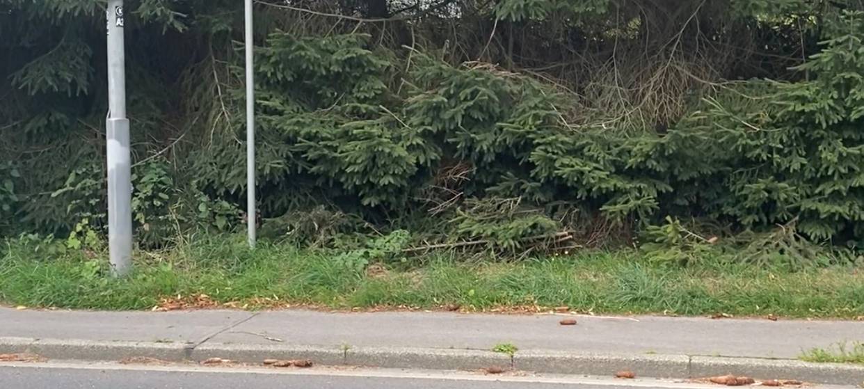 Kürten: Blitzer außer Kontrolle