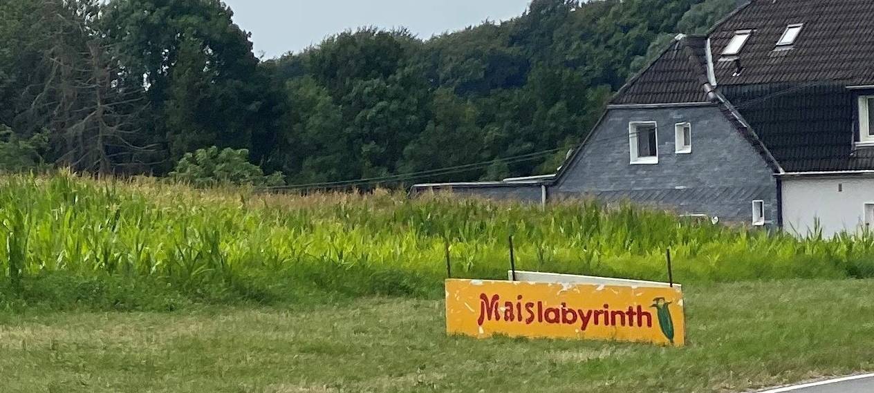 Maislabyrinth in Leichlingen