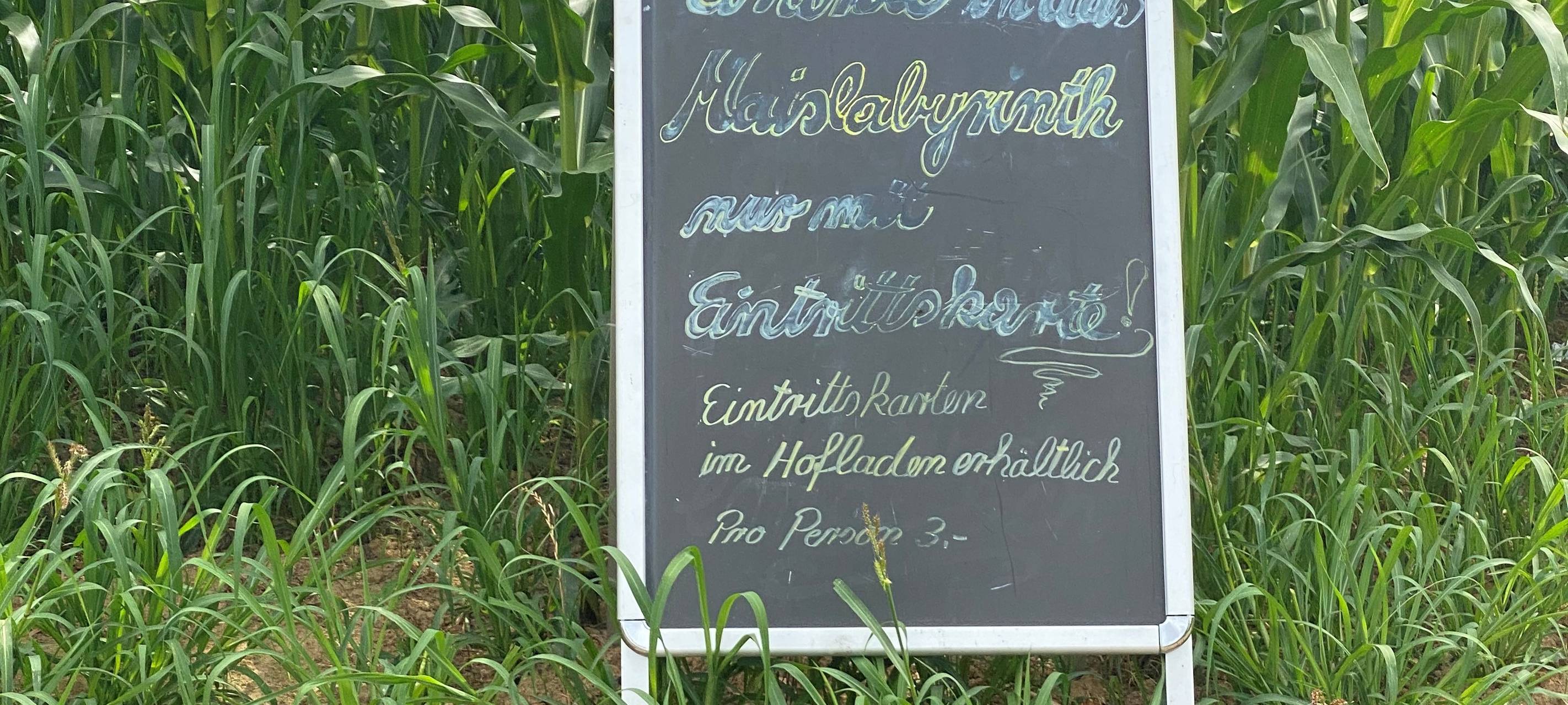 Maislabyrinth in Leichlingen