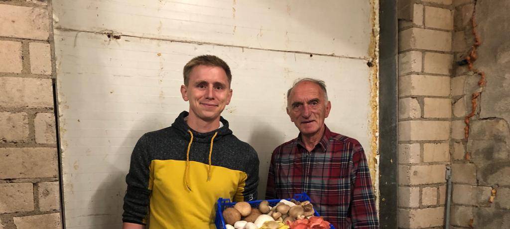 Die Herren der Pilze