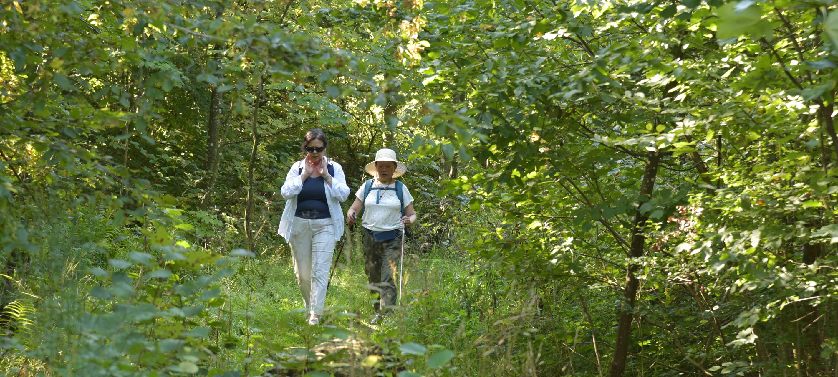 Sonne satt beim Radio Berg Wandertag